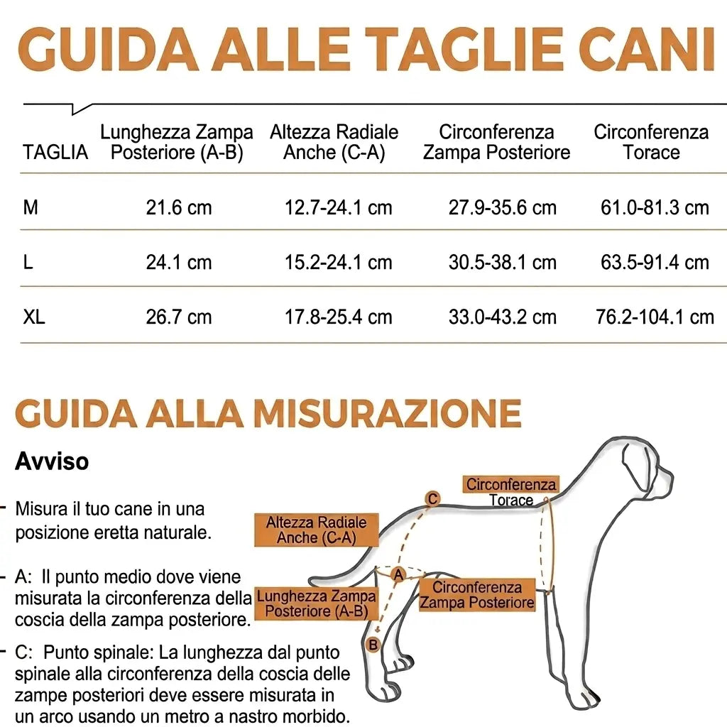 ZampaRise® - Tutore per Cane