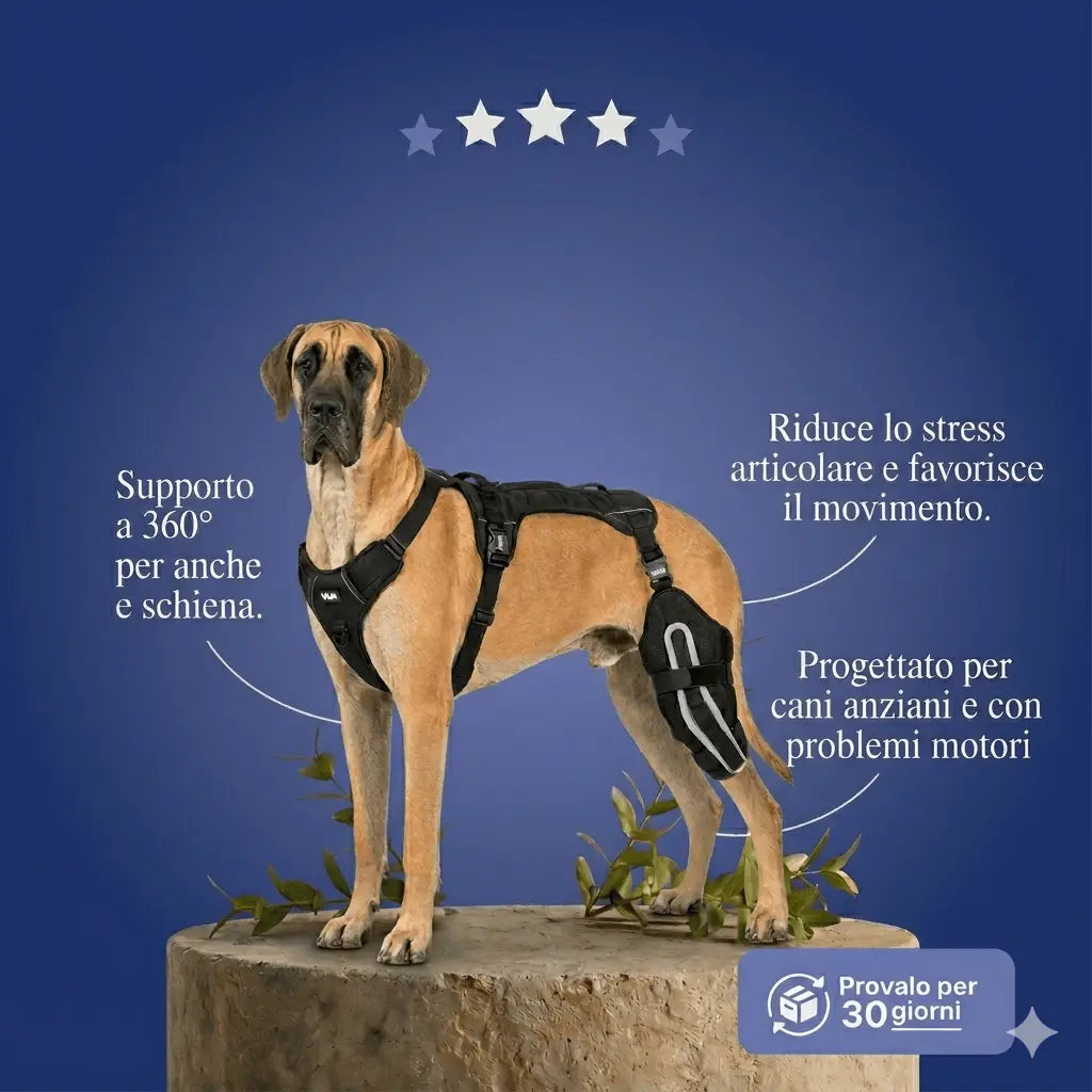 ZampaRise® - Tutore per Cane