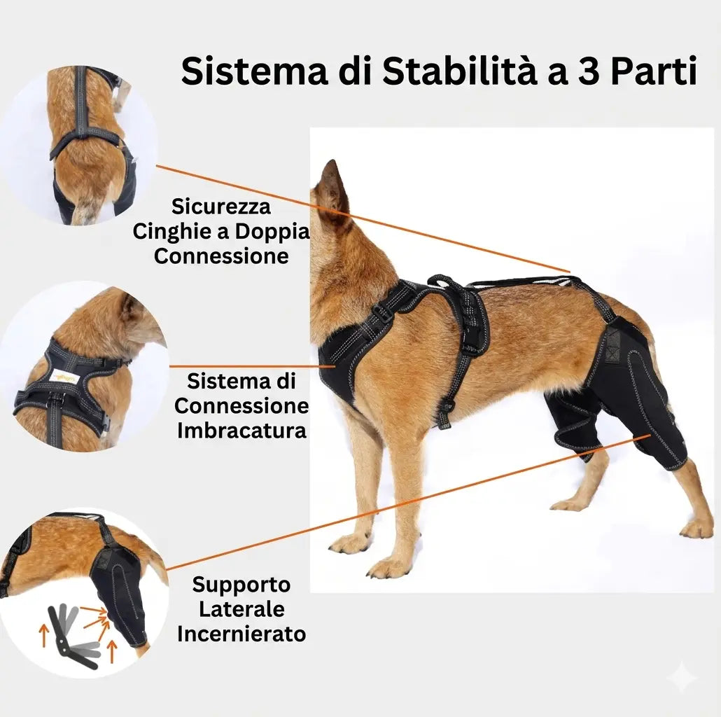 ZampaRise® - Tutore per Cane